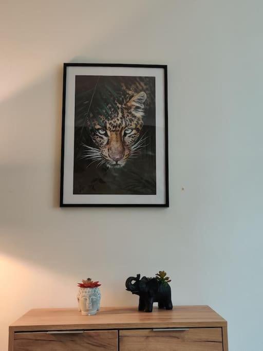 La Jungle Urbaine Avec Garage Prive & Climatisation Appartement Perpignan Buitenkant foto