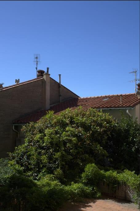 La Jungle Urbaine Avec Garage Prive & Climatisation Appartement Perpignan Buitenkant foto